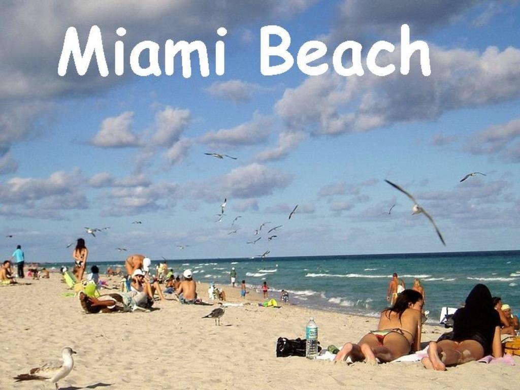Bikini Lodge (Adults Only) Miami Beach Cameră foto